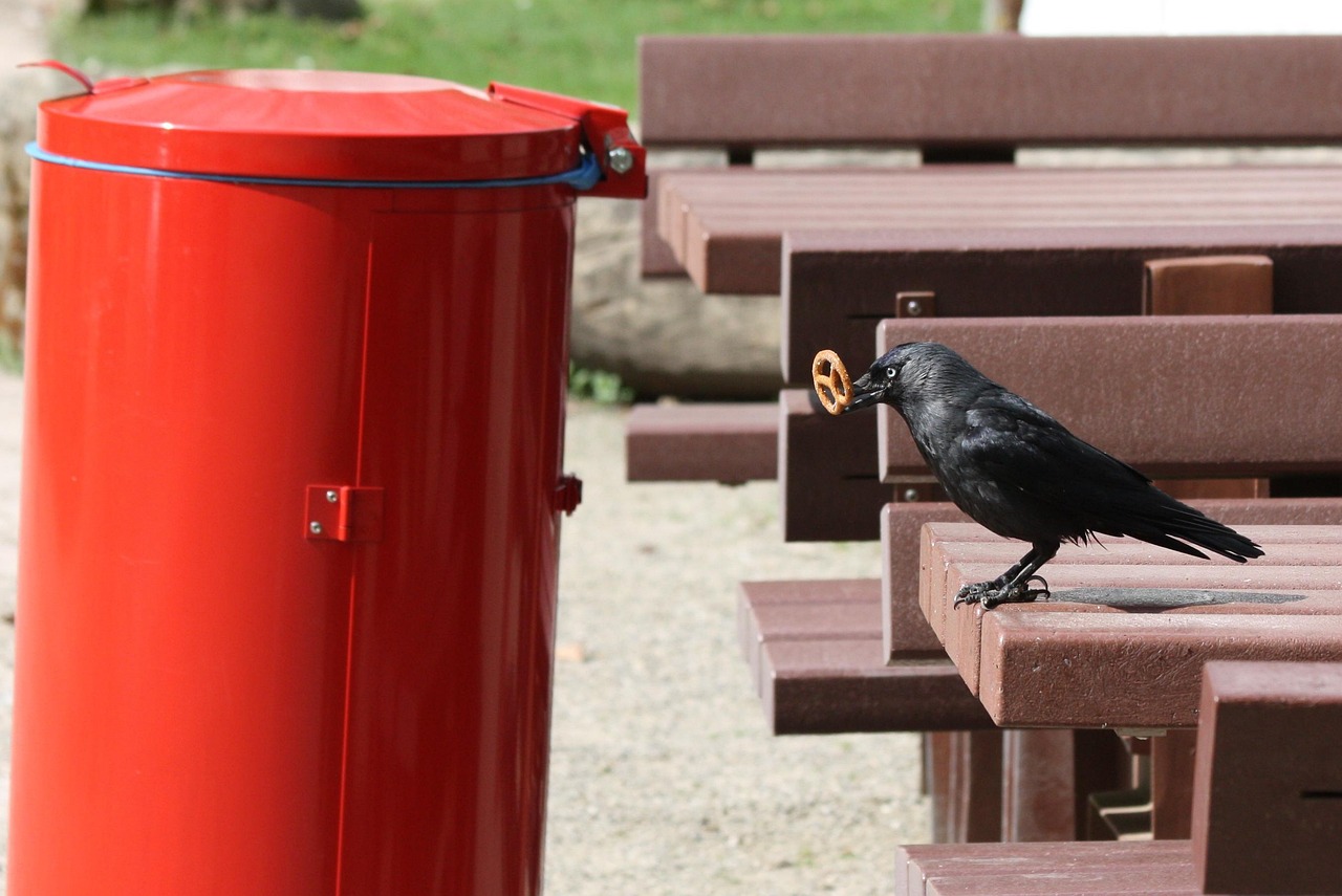 五月蒲城疫情动态观察与应对策略