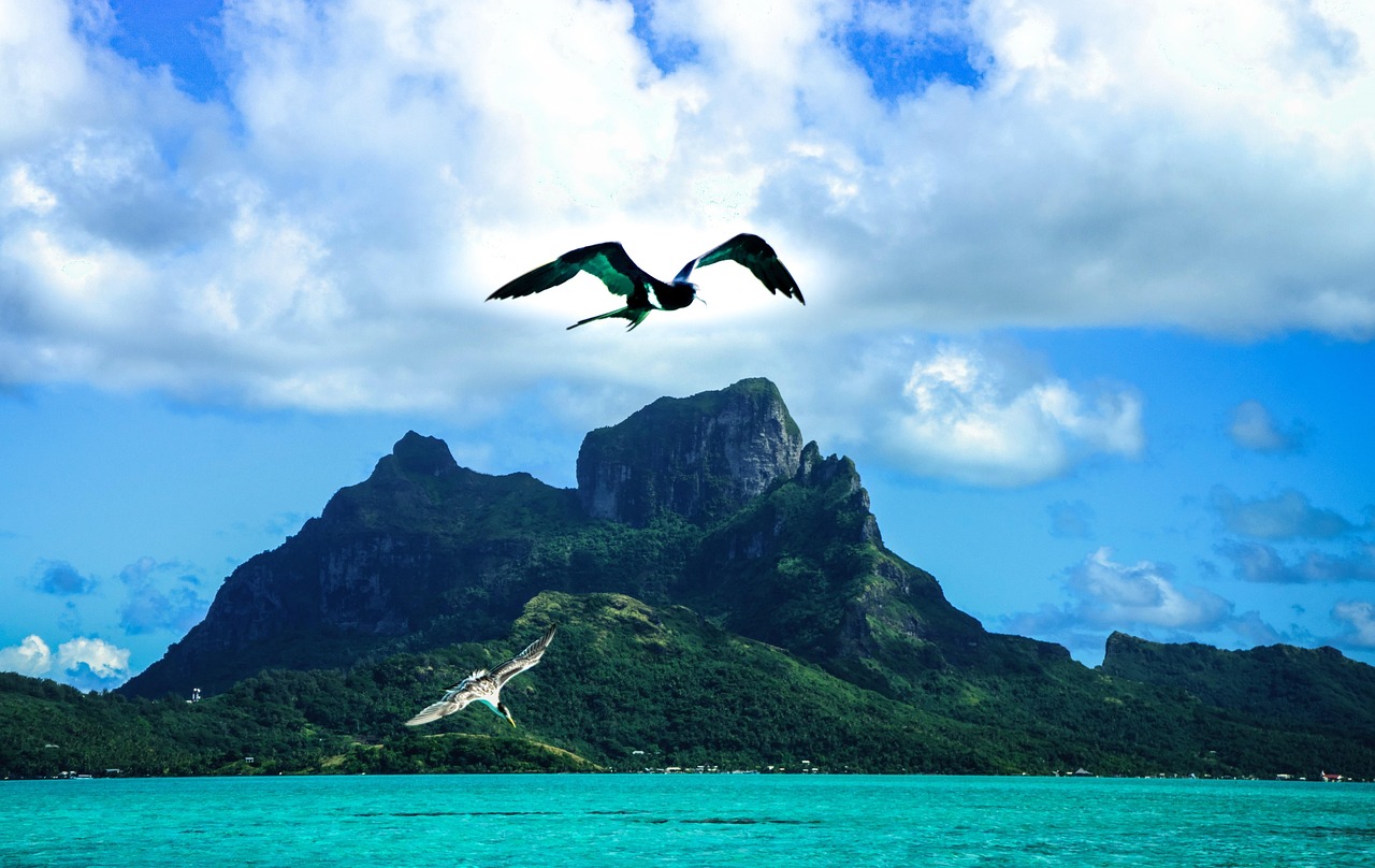 五月赶海之旅，探寻海洋宝藏的激情之旅。